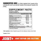 JOINT+ // JOINT & MOBILITY SUPPORT